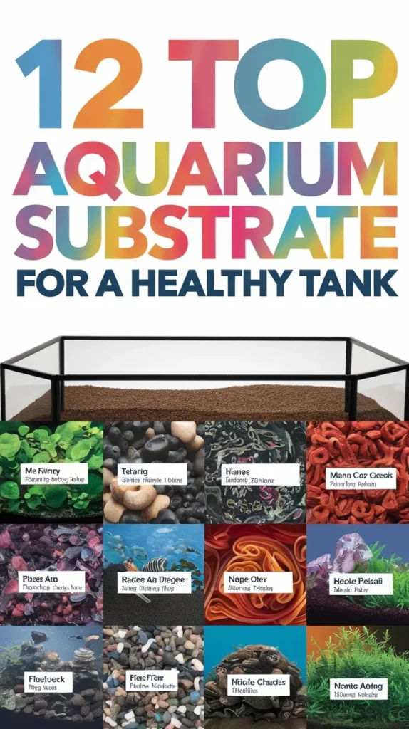 12 Best Aquarium Substrates for a Healthy Tank