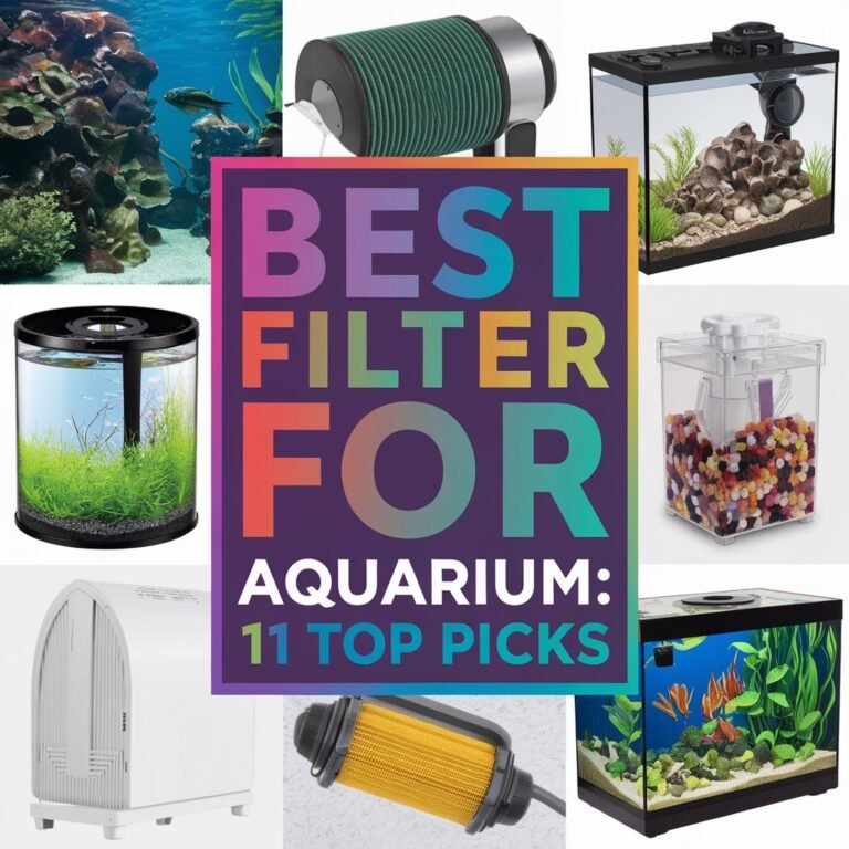 Best Filter for Aquarium: 11 Top Picks