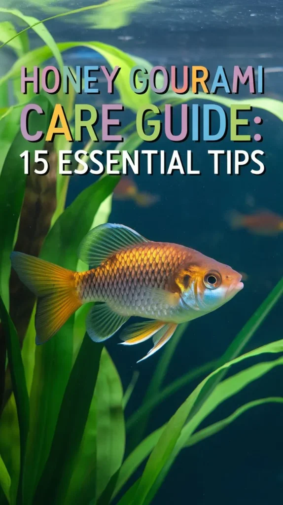 Honey Gourami Care Guide: 15 Easy Tips for Beginners