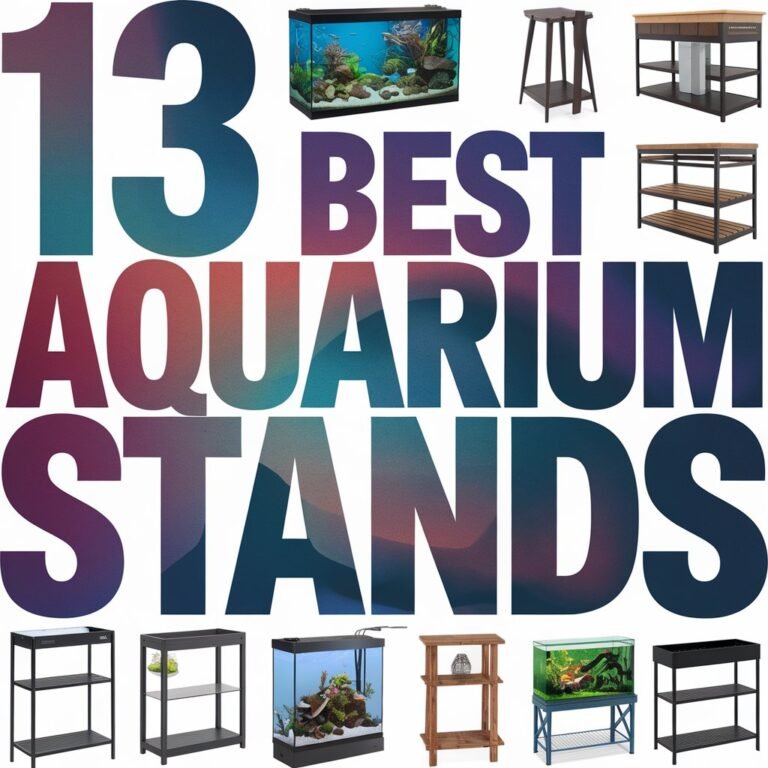 13 Best Aquarium Stands for a Stable and Secure Tank